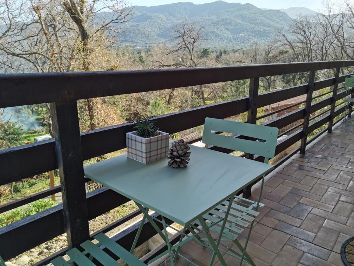 Les Pierres De La Massane - Vue Sur Les Alberes Apartment อาร์เจเลส-ซัวร์-แมร์ ภายนอก รูปภาพ