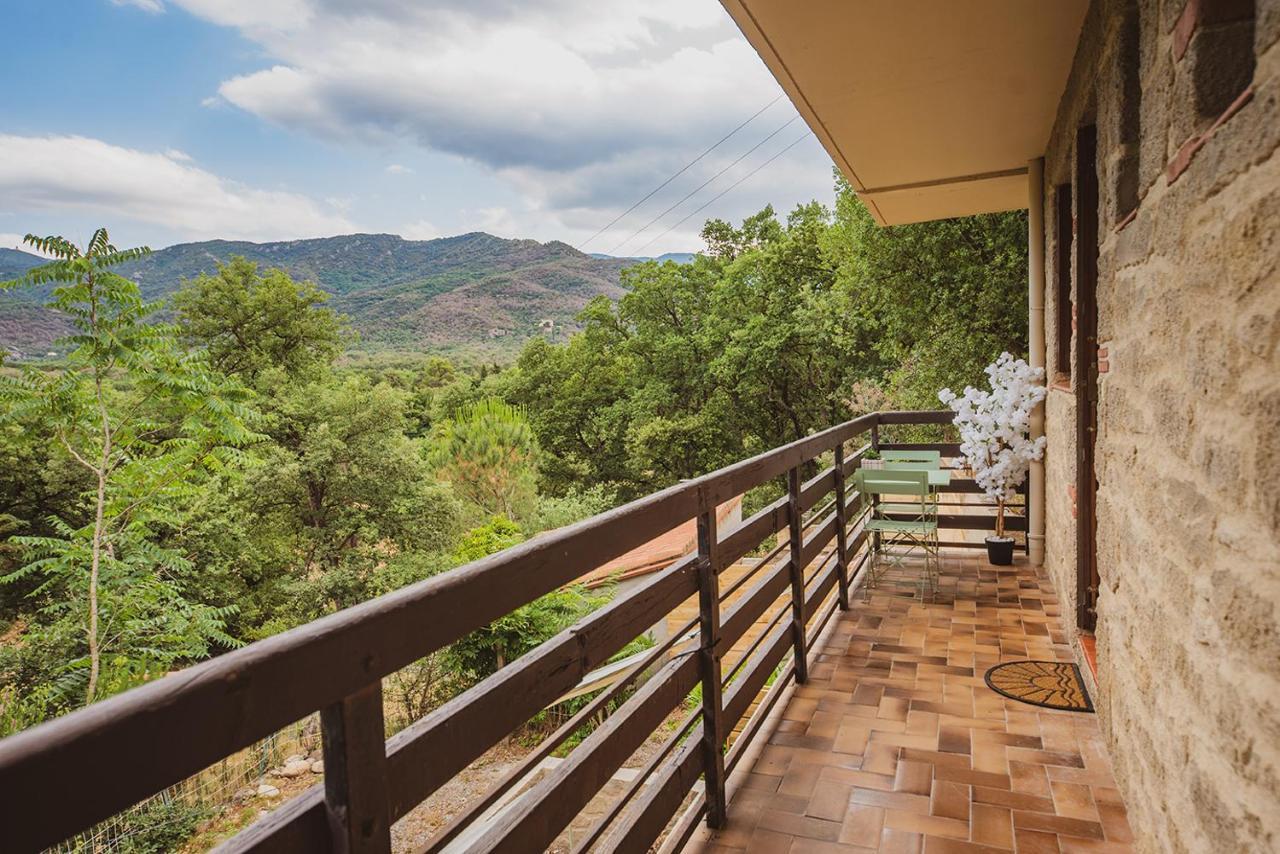 Les Pierres De La Massane - Vue Sur Les Alberes Apartment อาร์เจเลส-ซัวร์-แมร์ ภายนอก รูปภาพ