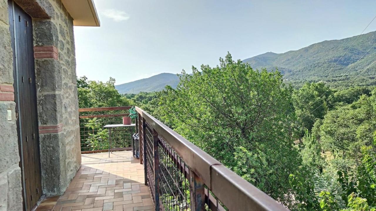 Les Pierres De La Massane - Vue Sur Les Alberes Apartment อาร์เจเลส-ซัวร์-แมร์ ภายนอก รูปภาพ